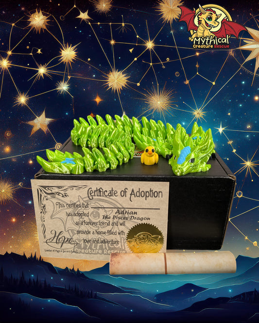 Adrian - The Articulated Pisces Dragon